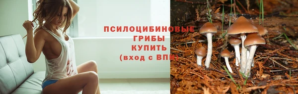 марки lsd Инта