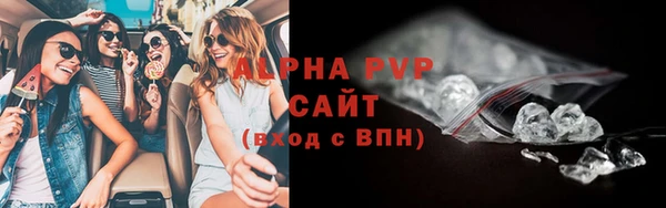 ПСИЛОЦИБИНОВЫЕ ГРИБЫ Иннополис