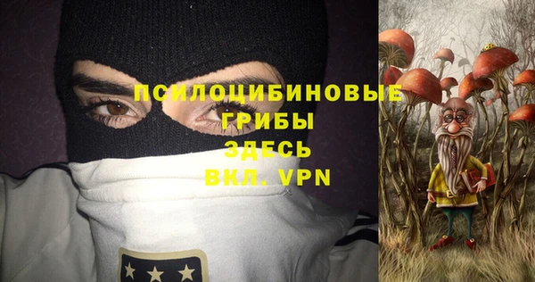 ПСИЛОЦИБИНОВЫЕ ГРИБЫ Иннополис