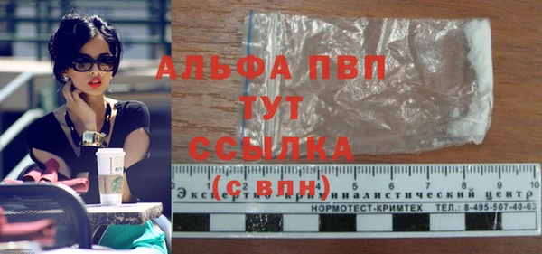 ПСИЛОЦИБИНОВЫЕ ГРИБЫ Иннополис
