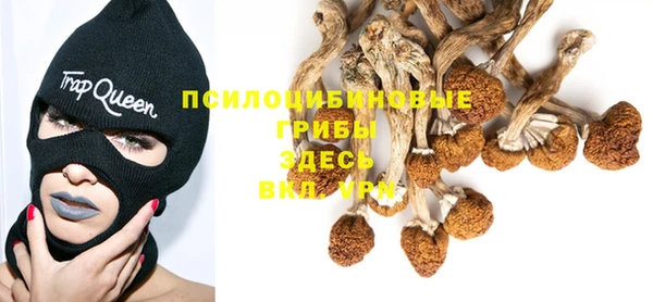 марки lsd Инта