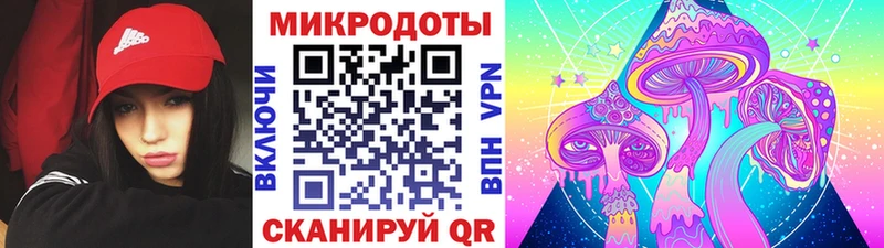 Купить закладки  Звенигово  Галлюциногенные грибы Psilocybine cubensis 